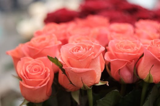 colorful spring flower bouquet