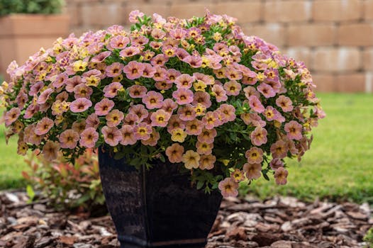 beautifully arranged potted plants as wedding decor