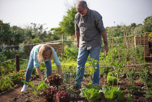 couple planting trees