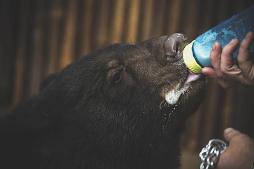 wedding favors supporting wildlife conservation