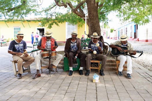 musicians playing at an outdoor wedding