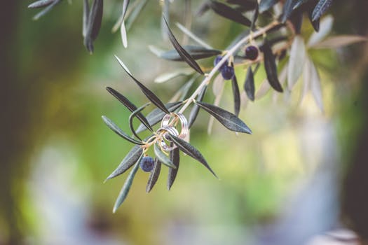 intimate backyard wedding