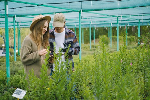 couple planting seeds in their garden