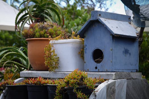 eco-friendly reception with natural decor